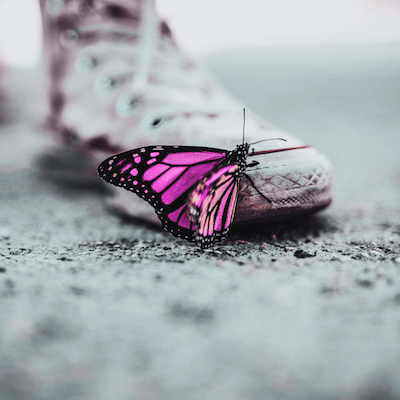 Borboleta pousada em um tênis branco, o foco da imagem esta na borboleta o tenis e chão estão desfocados