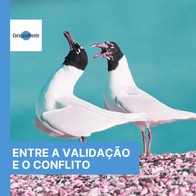 Entre a validação e o conflito E145